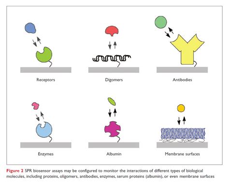 Surface Plasmon Resonance S Impact On Drug Discovery Resolution Throughput And Versatility