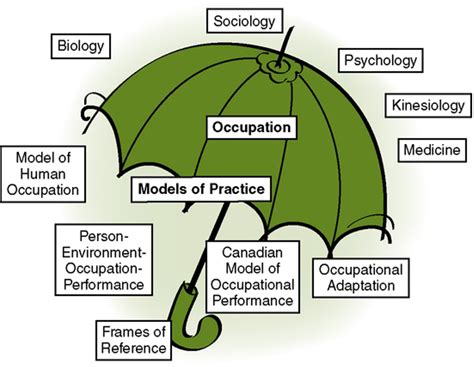 Pediatric Ot Models And Frames Of Reference