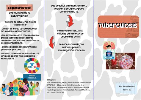 Triptico De La Tuberculosis Ana Karen Centeno Torres 6D