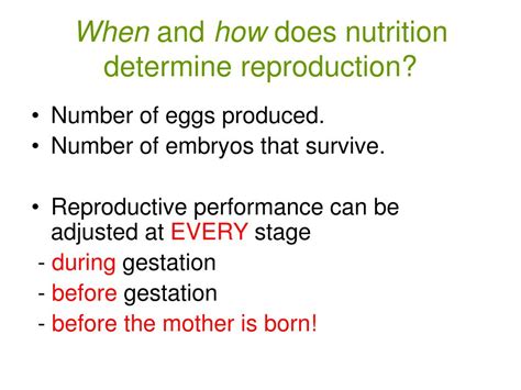 Ppt Nutrition And Reproduction The Sheep Model Powerpoint