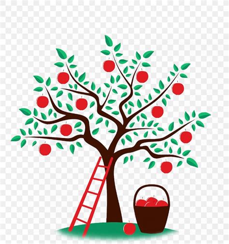 Apple Drawing Orchard Clip Art, PNG, 828x882px, Apple, Artwork, Branch ...