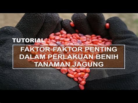 TUTORIAL Faktor Faktor Penting Dalam Teknis Perlakuan Benih Pada