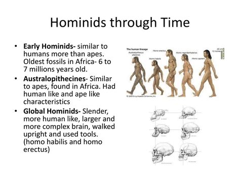 Ppt Chapter 5 And 6 Evolution Of Living Things And History Of Life On