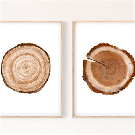 Tree Ring Print Wall Art Set Of Stump Printable Instant Etsy