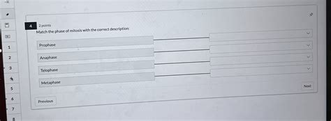 Solved 42 ﻿pointsmatch The Phase Of Mitosis With The Correct