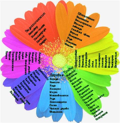 Сочетание эфирных масел - таблица | Эфирные масла, Смеси эфирных масел ...