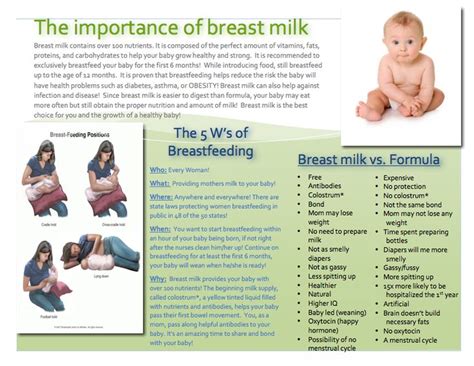 My Americorps Adventure New And Improved Breastfeeding Brochure