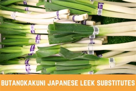 Best Butanokakuni Japanese Leek Substitutes Which One Is The Best