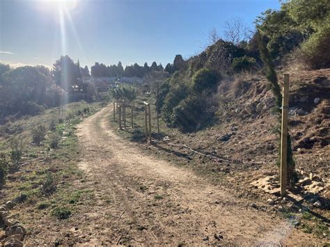 Site Officiel De La Commune De Leucate Am Nagements Des Abords Du