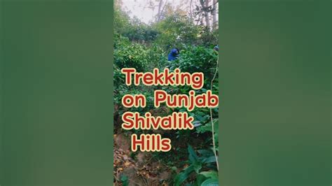 Trekking On Punjab Shivalik Hills Shivslikranges Lowershivalik Youtube