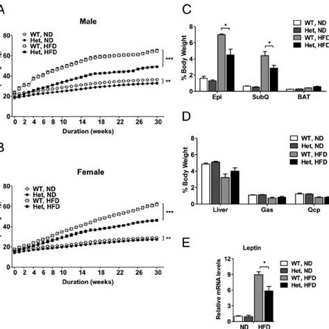 Nedd4 ϩ Ϫ Mice Partially Resist Hfdio A And B Body Weight Curves Of