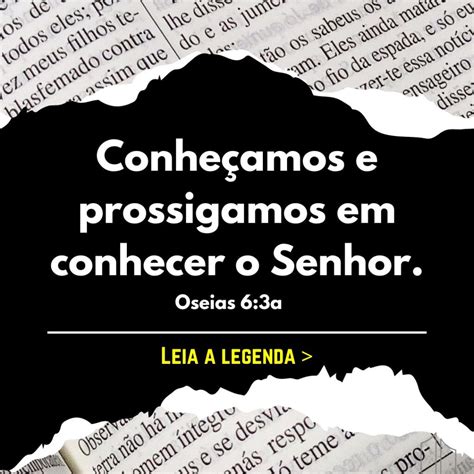 Conheçamos E Prossigamos - Conheçamos e prossigamos em conhecer o Senhor - IBBV