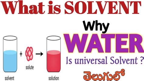 What Is Solvent Why Water Is Universal Solvent Types Of Solvent