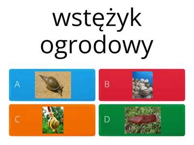 Biologia Mi Czaki Materia Y Dydaktyczne