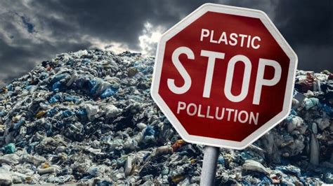 Comment Lutter Efficacement Contre La Pollution Plastique Technobiofr