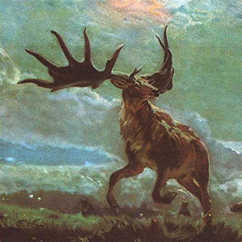 ShukerNature: THE LAST OF THE IRISH ELKS? - INVESTIGATING SOME ...