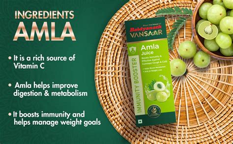 Baidyanath Vansaar Amla Juice L Strong Healthy Hair Detox Juice