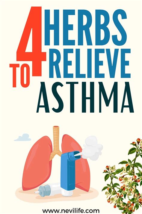 Which Herbs Are Good for Asthma? – nevilife