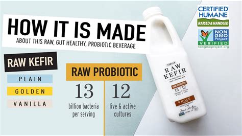 How It Is Made: Raw Kefir ( plain, golden, and vanilla ) - YouTube