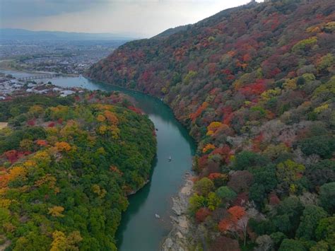 Arashiyama Kyoto Bamboo Forest Monkey Park Secrets Getyourguide