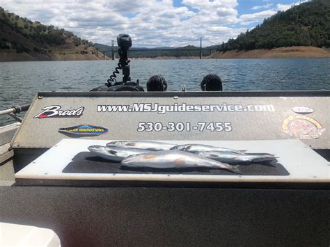 Oroville Fishing Is Fit For A King – California Sportsman Mag