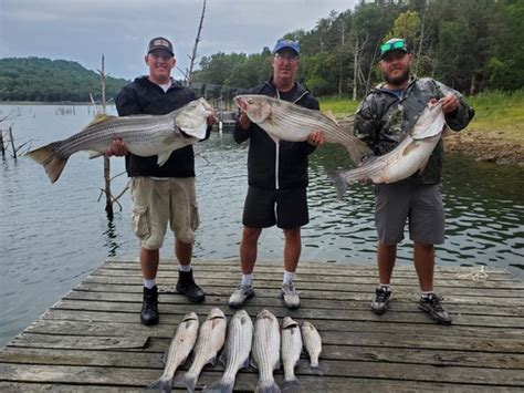 Beaver Lake Striped Bass Fishing Report Guided Striper