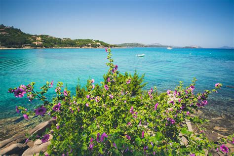 Spiaggia Di Cala Girgolu Un Gioiello Nascosto Della Sardegna