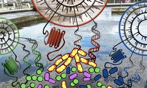 Experts Measure Bacteria In Wastewater Purification Process