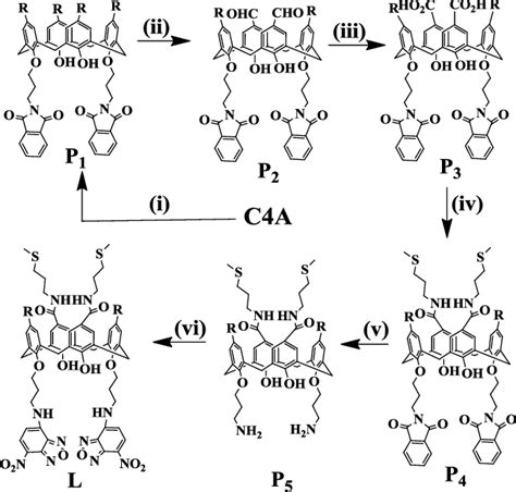 Scheme 1 Synthesis Of L C4a Is P Tert Butylcalix 4 Arene A Download