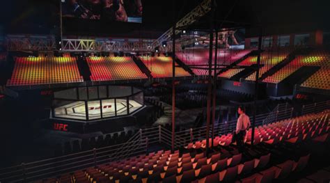 First look: The new Abu Dhabi arena especially for UFC 242 | Things To Do, Sport | Time Out Dubai