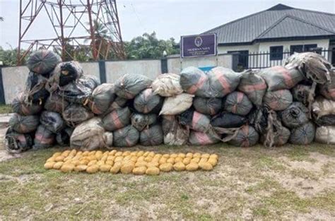 Navy Hands Over N70m Seized Cannabis Sativa To Ndlea