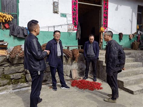 【乡镇人大】太和土家族乡：人大代表在行动 入户走访暖人心工作群众助推