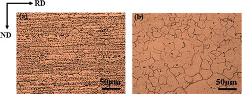 Microstructures Of Bms A 5a06 Al B Az31b Mg Download