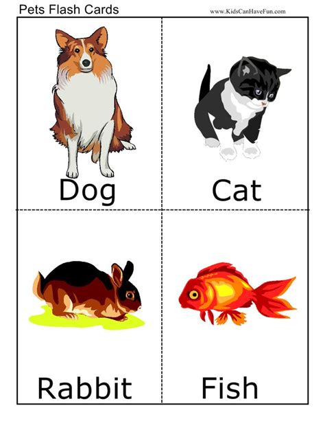 Pets Flashcards Ab