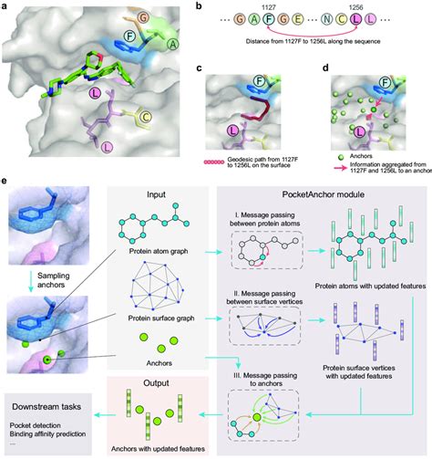 Illustrations Of Different Feature Representations Of Protein Pockets