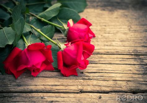 Bild Rote Rosen auf Holz nach Maß myredro de