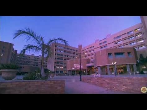 Pharos University in Alexandria - YouTube