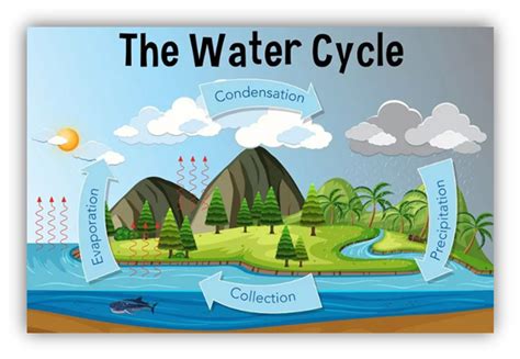 Refrigeration Cycle Principles