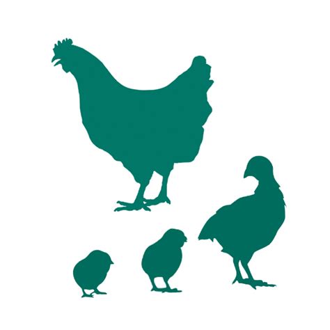 Pullet Starter - Aus Organic Feeds | Stock Feed | Animal Feed | Australia