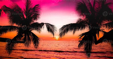 Beautiful Sunset On The Tropical Sea Beach Silhouette Of Palm Trees On