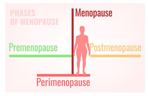 Stages of Menopause - Chapel Hill Hormone Therapy