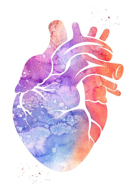 Human Heart Digital Art By Erzebet S