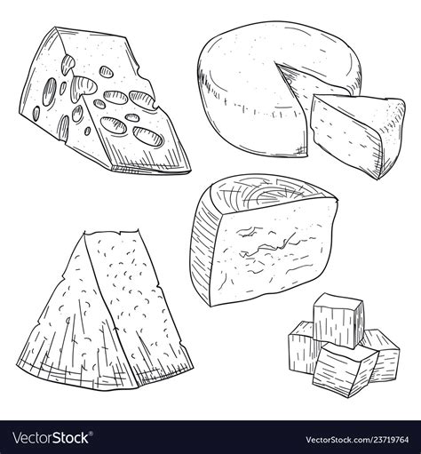 Cheese collection doodle drawing on white Vector Image