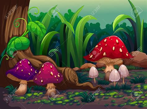 Forest mushroom clipart - Clipground