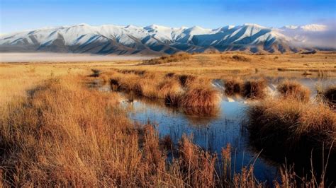 Mackenzie Basin, New Zealand - Beautiful places. Best places in the ...