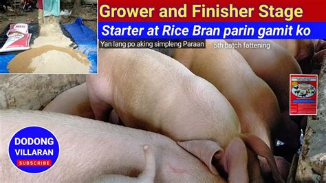 GROWER And FINISHER Stage L STARTER Parin Gamit KO L 310 YouTube