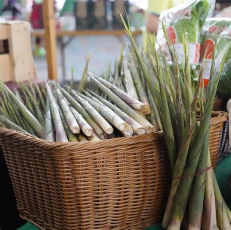 週末台北花博農民市集 花蓮箭筍新鮮上市 中華日報 中華新聞雲