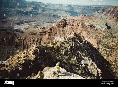 Man Observe Grand Canyon From Hopi Point View Stock Photo Alamy