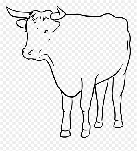 cow outline clipart 20 free Cliparts | Download images on Clipground 2024