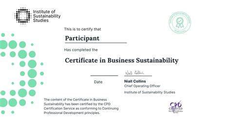 Certificate in Business Sustainability | Online Qualification | ISS